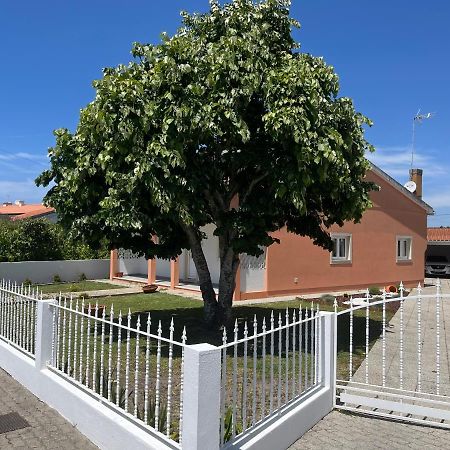 Moradia Alegre No Centro Da Vila Da Tocha. المظهر الخارجي الصورة